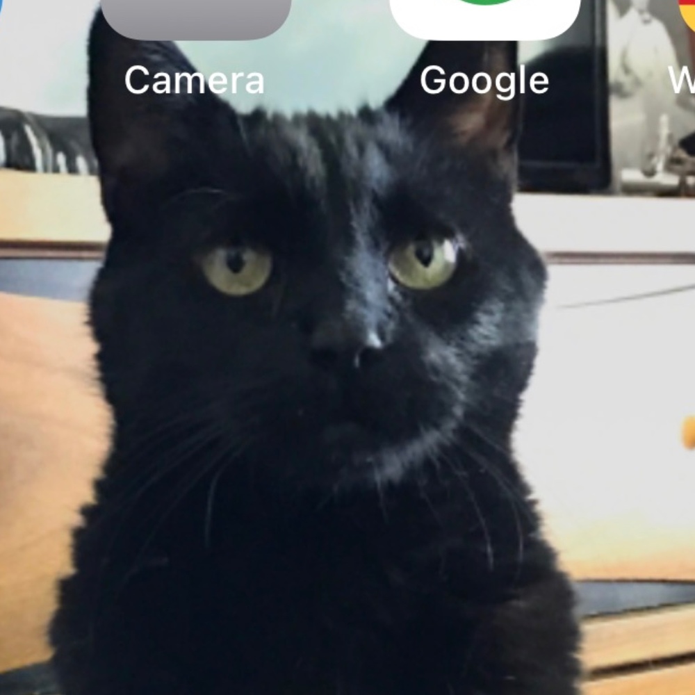 Meet your Posher, Posh